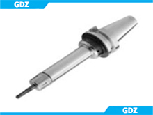 GDZ 
