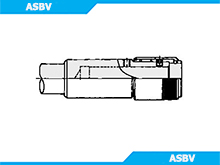 ASBV